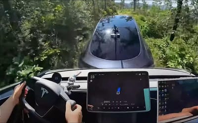 tesla-owner-in-china-teslas-fsd