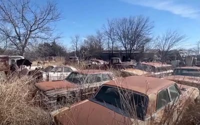 Over 100 classic cars discovered rotting in Texas, including a piece of US history