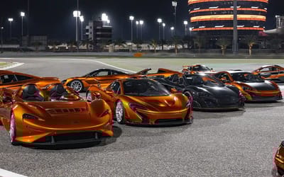 World's greatest McLaren collection left behind by Formula 1 shareholder was bought by one undisclosed buyer