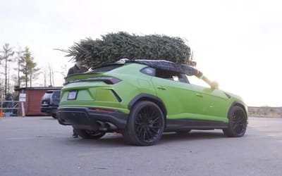 These guys took their supercar Christmas tree shopping then put them on their roofs