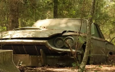 A 1964 Ford Thunderbird rises again after decades buried in the Texas woods