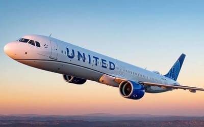 United Airlines flight to China had to turn around after two hours because pilot forgot their passport