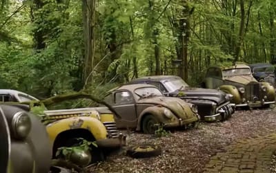 Million dollar car graveyard in German forest is full of rare motors