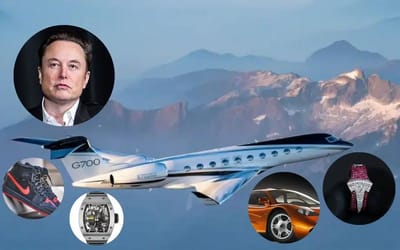 The 7 most expensive things Elon Musk owns are mind-blowing