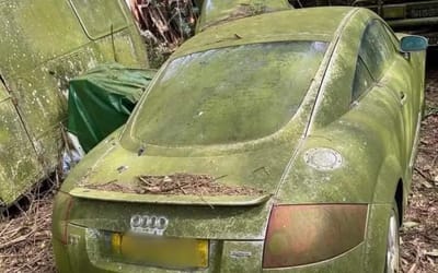 Audi TT in seemingly great condition has become a mossy mystery in UK