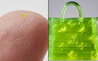 Handbag smaller than a grain of salt sells for $63k