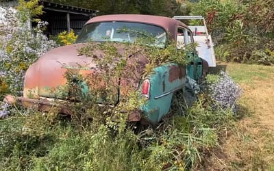 Man finds Dodge Coronet abandoned in field for decades then something unexpectedly spooky overshadows everything