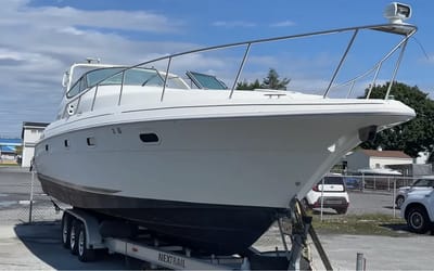 Pennsylvania men who got free abandoned yacht off Facebook Marketplace perform its first wash in 15 years