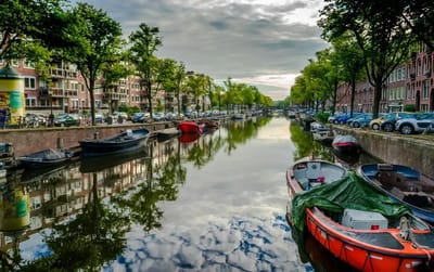 The strangely complex parking situation in Amsterdam might make Americans grateful