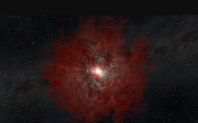 Astronomers just witnessed an incredibly rare view as they spot star's direct collapse into a black hole