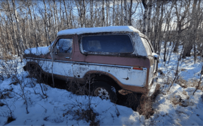 Abandoned Ford Bronco sat in bush for 20 years basically has its own ecosystem