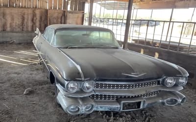 Woman discovers well-preserved 1959 Cadillac Coupe DeVille that's been sitting in a California barn for 20 years