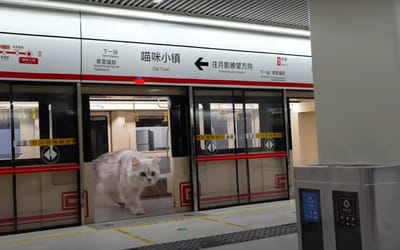 YouTuber spends four months building jaw-dropping miniature subway system for his cats
