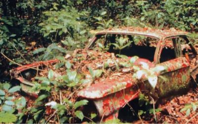 This is why there’s a Chevy Corvair lying in the middle of the jungle