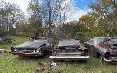 There is something unique about junkyard in Ohio with vintage cars scattered throughout the woods