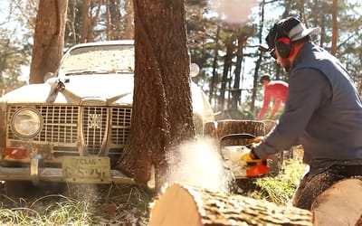 Abandoned car was stuck inside a tree for over 40 years, cunning plan devised to get classic gem out in one piece