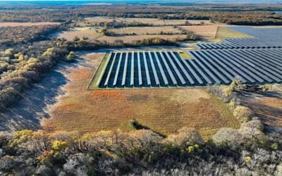 Your next Tesla could be powered from this Texas solar farm