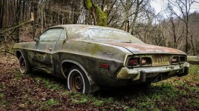 Dodge Challenger reborn like a phoenix after 35 years of neglect