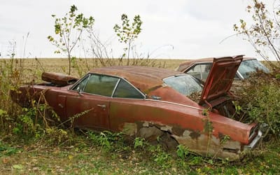 Rare 1970 Dodge Charger R/T found in a field, but is it worth saving?