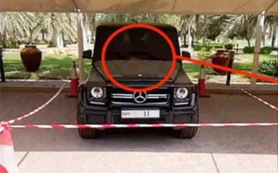 duba-crown-prince-finds-pigeon-on-his-mercedes-amg-g-63-suv