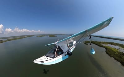 Footage shows how a pilot experiencing engine failure at just 600 feet unbelievably keeps his cool