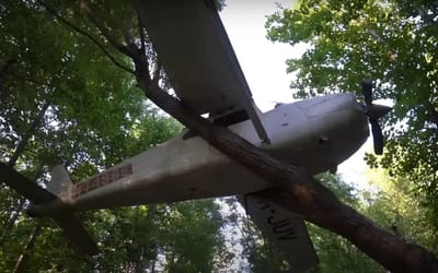 Man finds abandoned plane in South Carolina forest