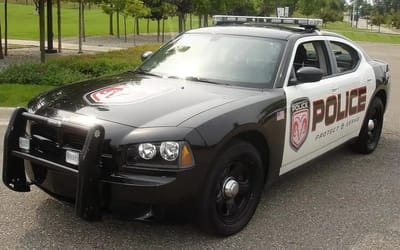 Why American cop cars are black and white actually has a story behind it