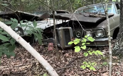 US YouTuber finds junkyard filled with 100 rotting cars