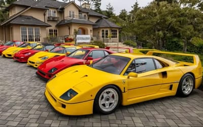 man-sorts-ferrari-collection-by-color-ketchup-mustard-and-vegetables