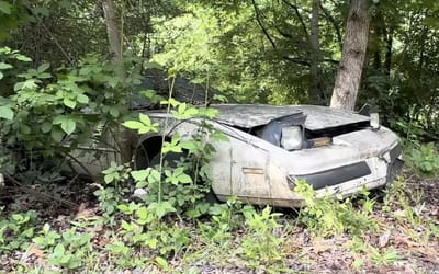 american-abandoned-1987-pontiac-firebird-woods
