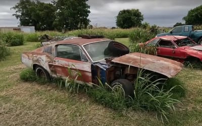 1967 Ford Mustang Fastback parked for decades turns out to be super-rare