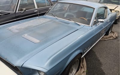Mustang has been under covers in Nevada parking lot for over a year and now everybody is trying to buy it