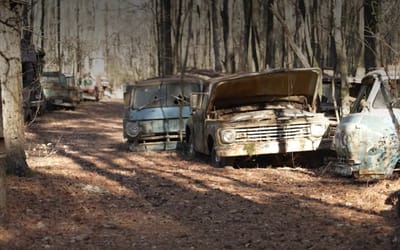 georgia-forest-classic-cars