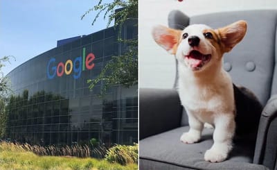 Former Google employee reveals mind-blowing perks that come with the job