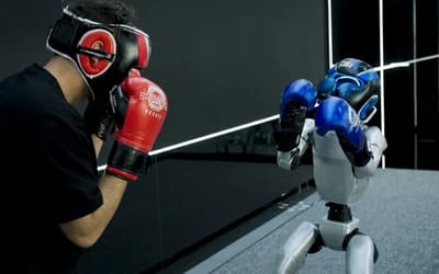 unitree-robot-boxing-match-with-human