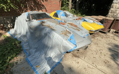 Dad's 2 Chevy Corvettes are discovered beneath overgrown trees after 30 years, stirring emotion in everyone