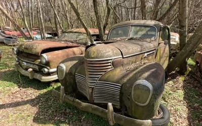 World's oldest and largest classic car junkyard is 34-acre compound in Georgia