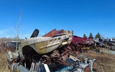 Private Michigan junkyard has been concealing a trove of killer muscle cars collected in highly unusual way