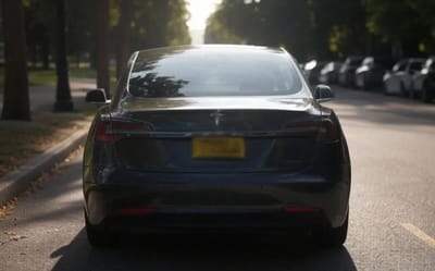 Man flips his number plate for nearly a 10,000 percent profit because he inadvertently was given something in demand