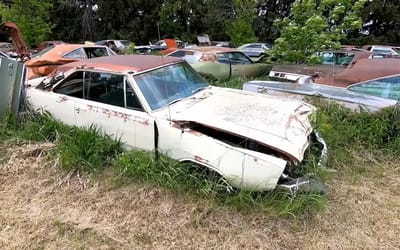 This Wisconsin junkyard is packed with 1,500 classic cars, including a super rare Plymouth