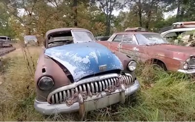 Kentucky junkyard has over 325 classic cars from 1930s to 1980s including rare models