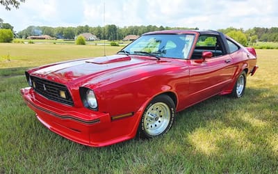 woman-wanted-specific-car-so-husband-found-mustang-king-cobra