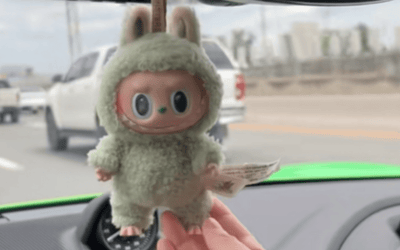 drivers-warned-labubu-doll-car-trend