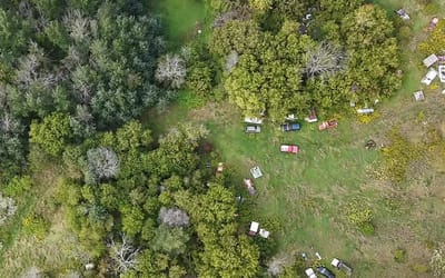 Someone found an alleged car thief hideout in the woods with many cars still there