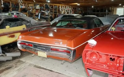 Hidden car graveyard with man’s 20-year muscle car collection leaves even an expert stunned