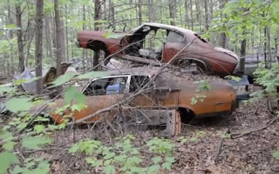 Thousands of cars discovered in the woods in East Tennessee