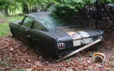 1966 Shelby Mustang parked up for 40 years had to be dug up out of backyard