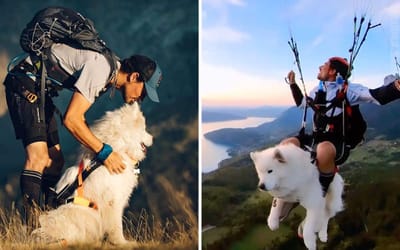 Meet Ouka, the rescue dog who lives in a van and goes PARAGLIDING with his owner