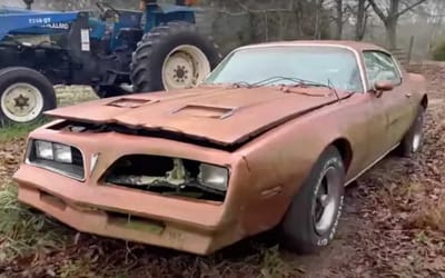 Guy rescues Pontiac Firebird – but will it run after 21 years?
