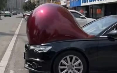 Video showing ‘pregnant’ cars goes viral but the truth is a lot simpler